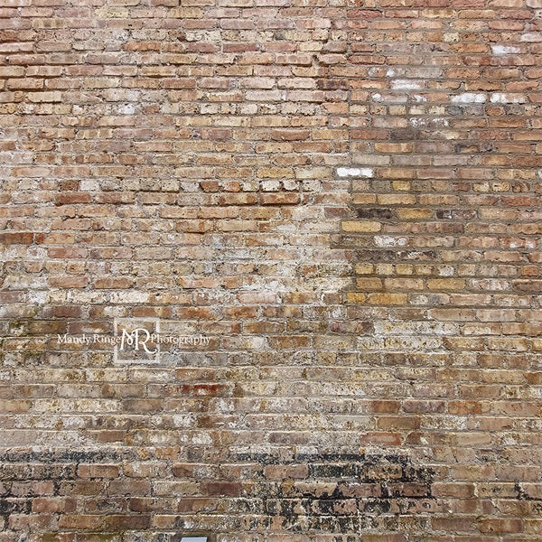 Kate Old Urban Brick Backdrop Designed by Mandy Ringe Photography - Kate Backdrop AU