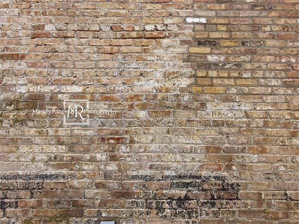 Kate Old Urban Brick Backdrop Designed by Mandy Ringe Photography - Kate Backdrop AU