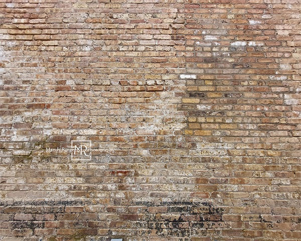Kate Old Urban Brick Backdrop Designed by Mandy Ringe Photography - Kate Backdrop AU