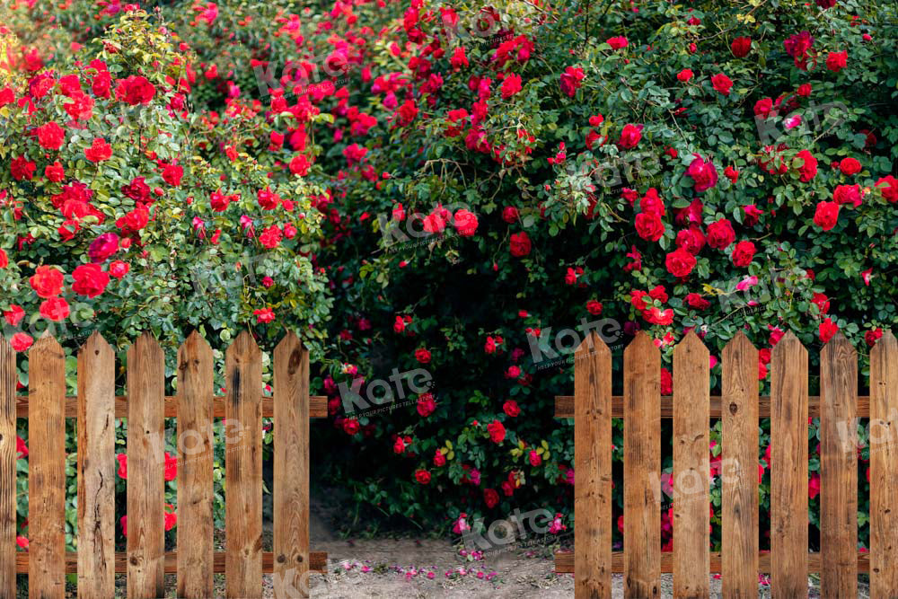 Kate Valentine's Day Backdrop Rose Garden Designed by Chain Photography - Kate Backdrop AU