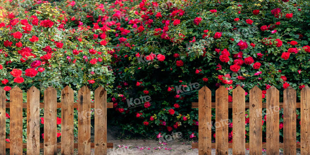 Kate Valentine's Day Backdrop Rose Garden Designed by Chain Photography - Kate Backdrop AU