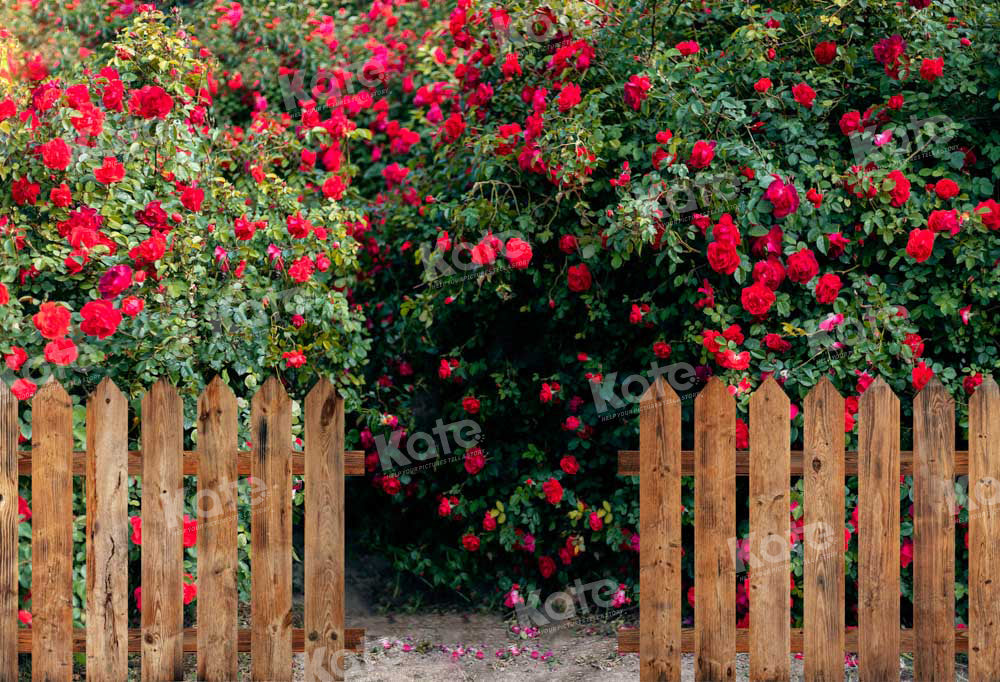 Kate Valentine's Day Backdrop Rose Garden Designed by Chain Photography - Kate Backdrop AU