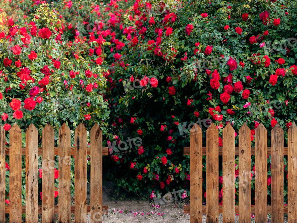 Kate Valentine's Day Backdrop Rose Garden Designed by Chain Photography - Kate Backdrop AU