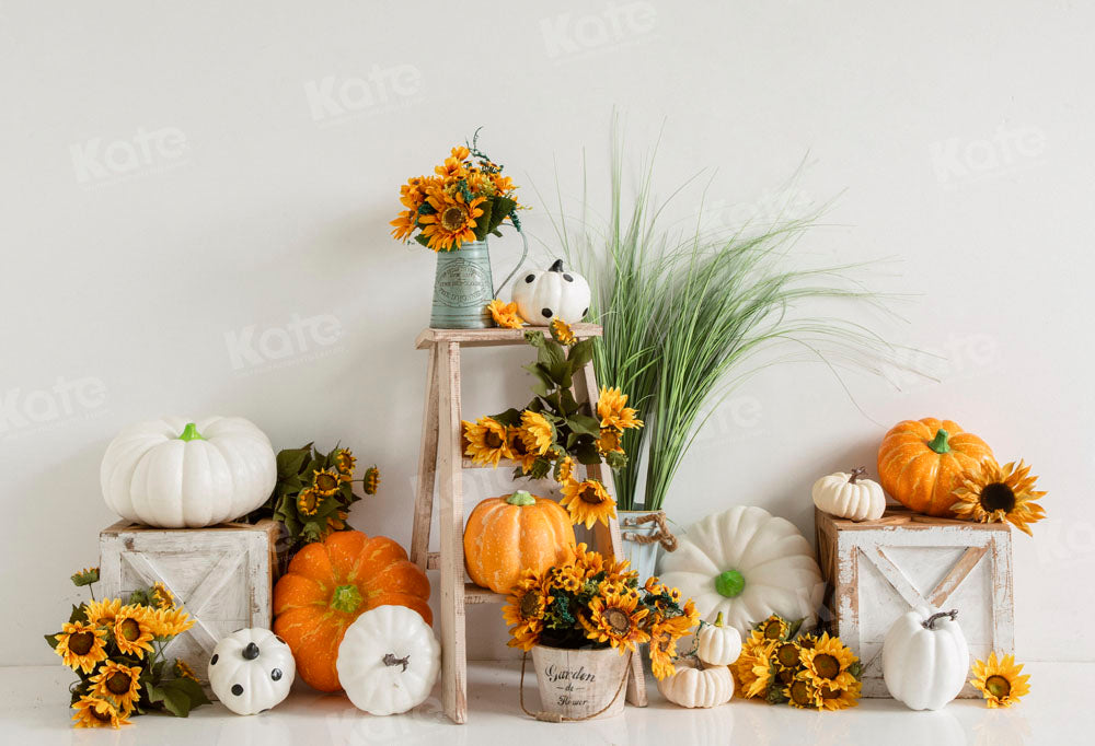 Kate Pumpkin Sunflower Backdrop Cake Smash Designed by Emetselch - Kate Backdrop AU