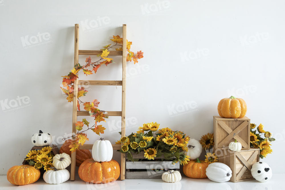 Kate Sunflower Pumpkin Backdrop Designed by Emetselch - Kate Backdrop AU