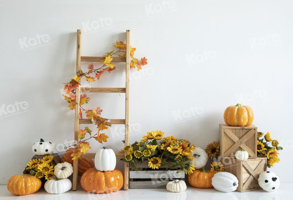 Kate Sunflower Pumpkin Backdrop Designed by Emetselch - Kate Backdrop AU