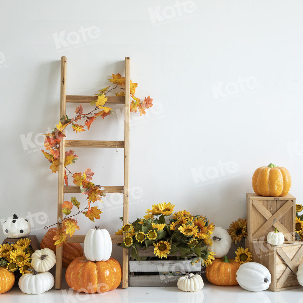 Kate Sunflower Pumpkin Backdrop Designed by Emetselch - Kate Backdrop AU