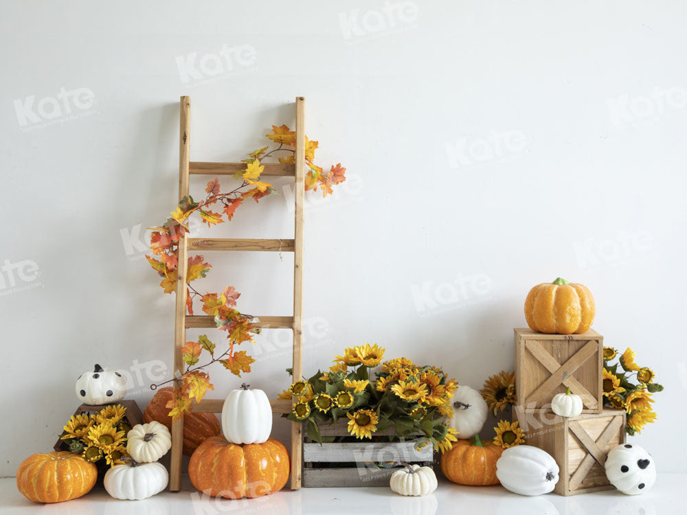 Kate Sunflower Pumpkin Backdrop Designed by Emetselch - Kate Backdrop AU