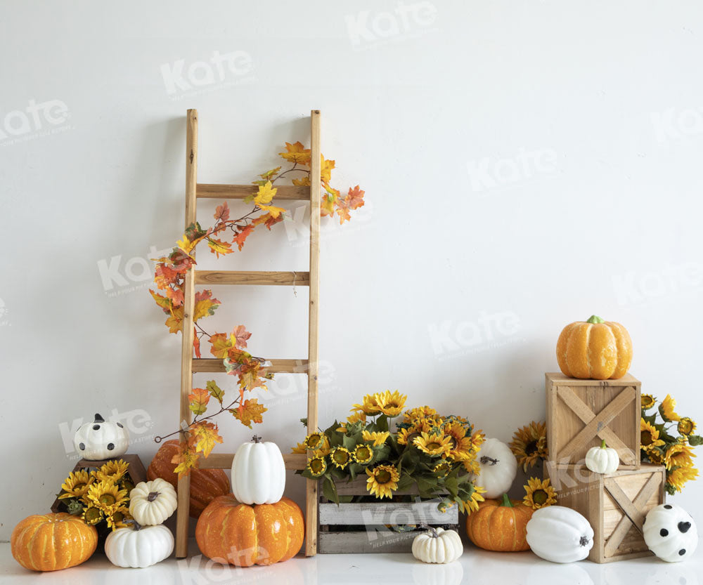 Kate Sunflower Pumpkin Backdrop Designed by Emetselch - Kate Backdrop AU