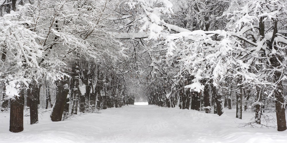 Kate Winter Forest Snow Backdrop for Photography - Kate Backdrop AU