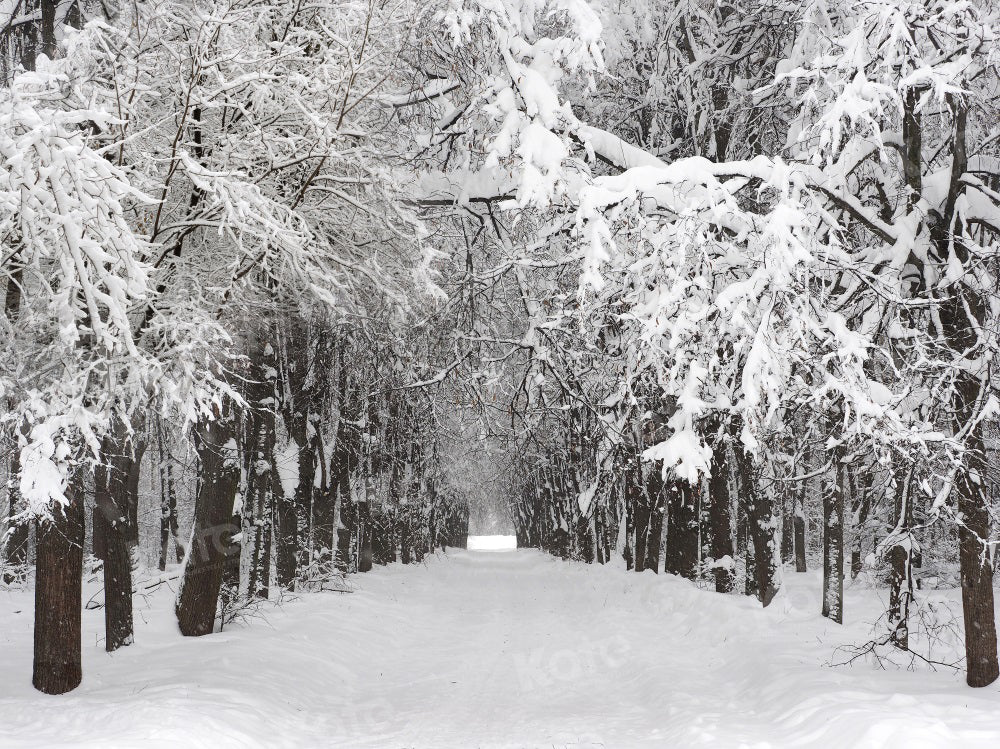 Kate Winter Forest Snow Backdrop for Photography - Kate Backdrop AU