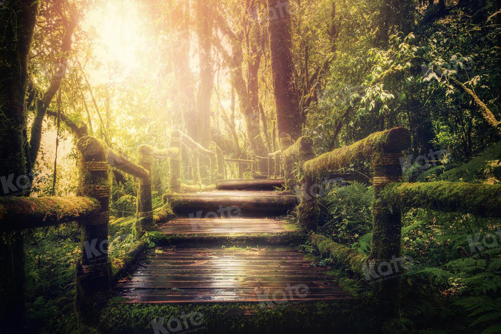 Kate Forest Backdrop Sunshine Green Plants Designed by Chain Photography - Kate Backdrop AU