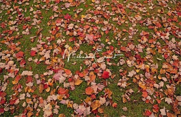 Kate Autumn Fallen Leaves Backdrop Grassland Designed By Michele Ernst Photography - Kate Backdrop AU