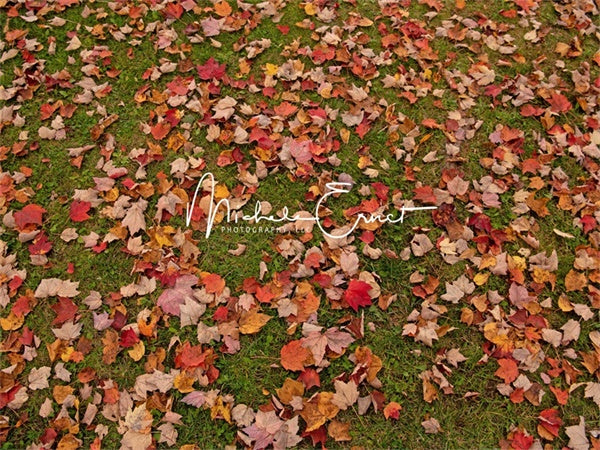 Kate Autumn Fallen Leaves Backdrop Grassland Designed By Michele Ernst Photography - Kate Backdrop AU