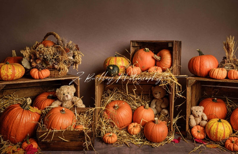 Kate Pumpkin Teds Backdrop Designed by Jo Buckley Photography - Kate Backdrop AU