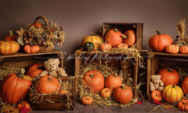 Kate Pumpkin Teds Backdrop Designed by Jo Buckley Photography - Kate Backdrop AU