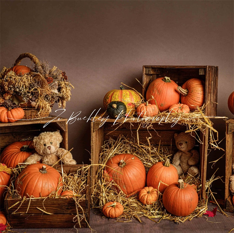 Kate Pumpkin Teds Backdrop Designed by Jo Buckley Photography - Kate Backdrop AU