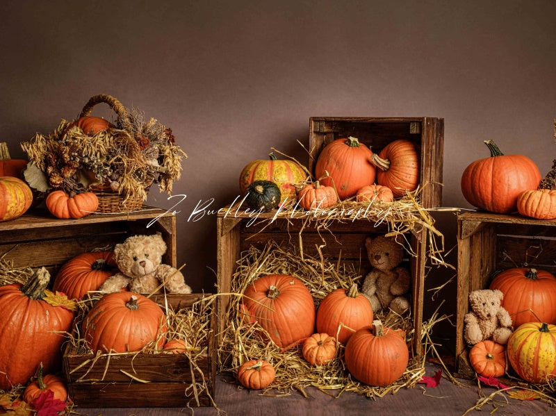 Kate Pumpkin Teds Backdrop Designed by Jo Buckley Photography - Kate Backdrop AU