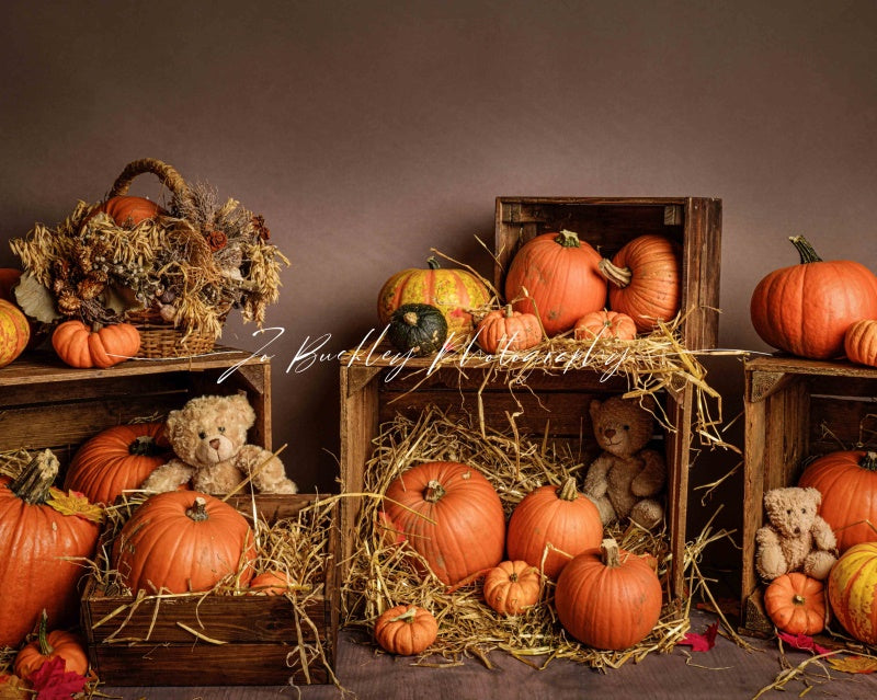 Kate Pumpkin Teds Backdrop Designed by Jo Buckley Photography - Kate Backdrop AU