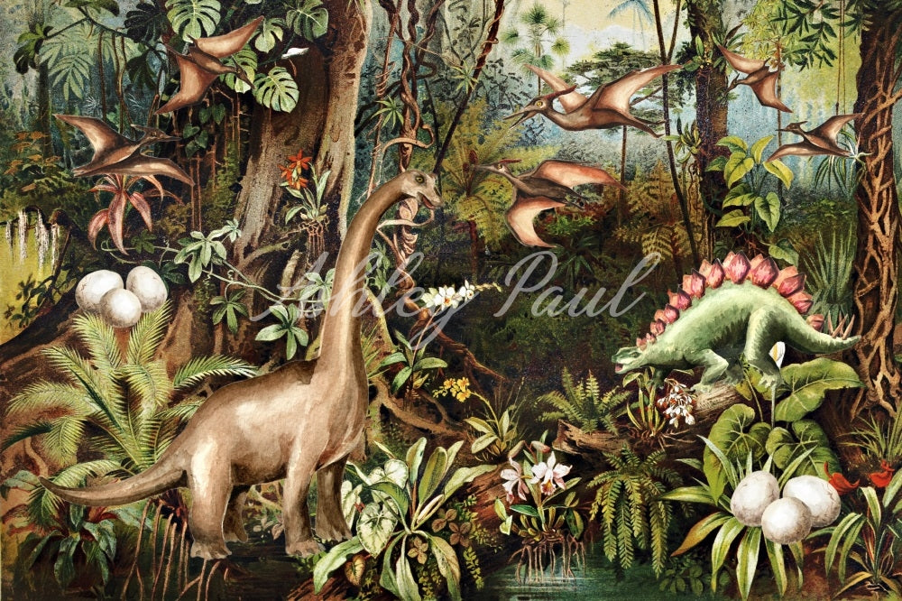 Kate Dinosaur Jungle Backdrop Designed by Ashley Paul - Kate Backdrop AU