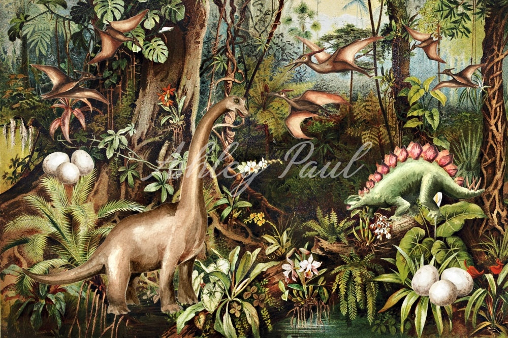 Kate Dinosaur Jungle Backdrop Designed by Ashley Paul - Kate Backdrop AU