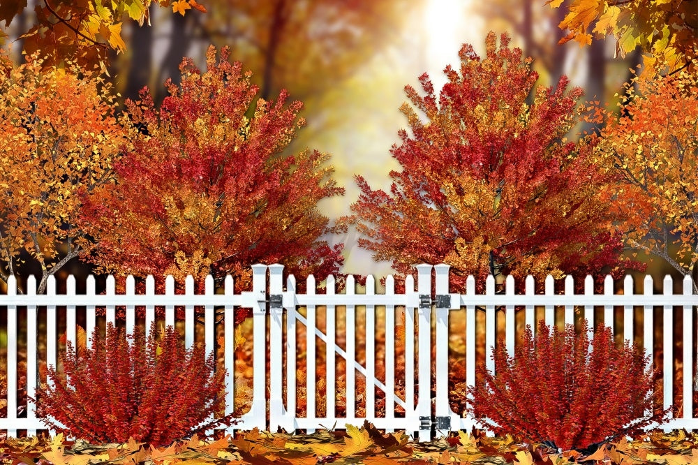 Kate Fall Backdrop Golden Leaves Trees Designed by Ashley Paul - Kate Backdrop AU