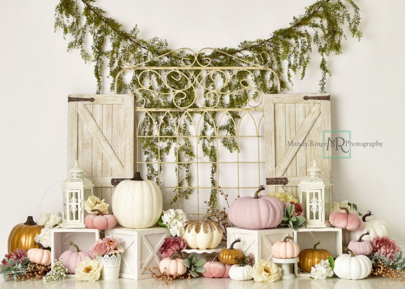 Kate Garden Gate Backdrop Pink and Gold Pumpkins Designed by Mandy Ringe Photography - Kate Backdrop AU