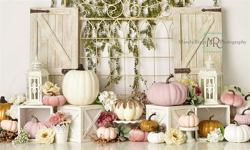 Kate Garden Gate Backdrop Pink and Gold Pumpkins Designed by Mandy Ringe Photography - Kate Backdrop AU
