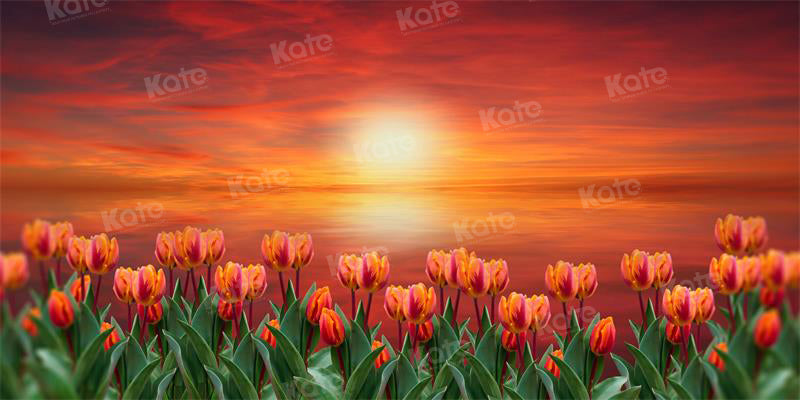 Kate Sunset Tulip Backdrop for Photography - Kate Backdrop AU