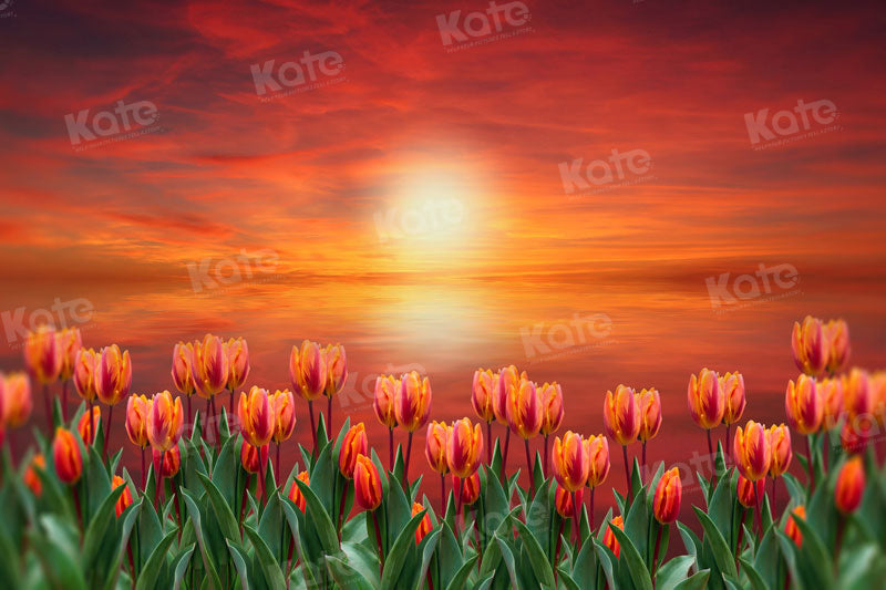 Kate Sunset Tulip Backdrop for Photography - Kate Backdrop AU