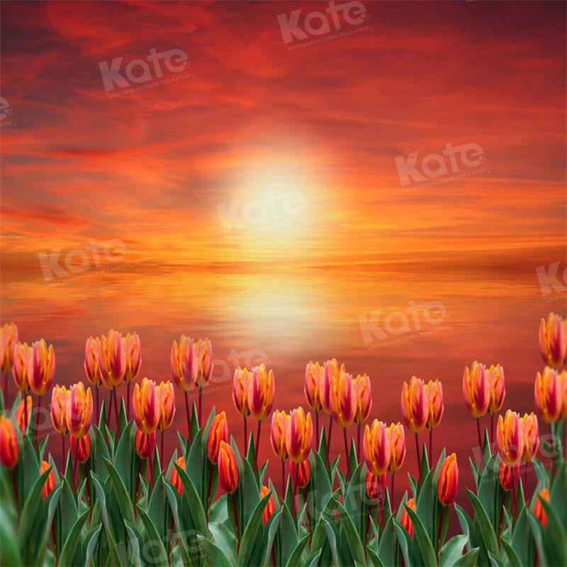 Kate Sunset Tulip Backdrop for Photography - Kate Backdrop AU