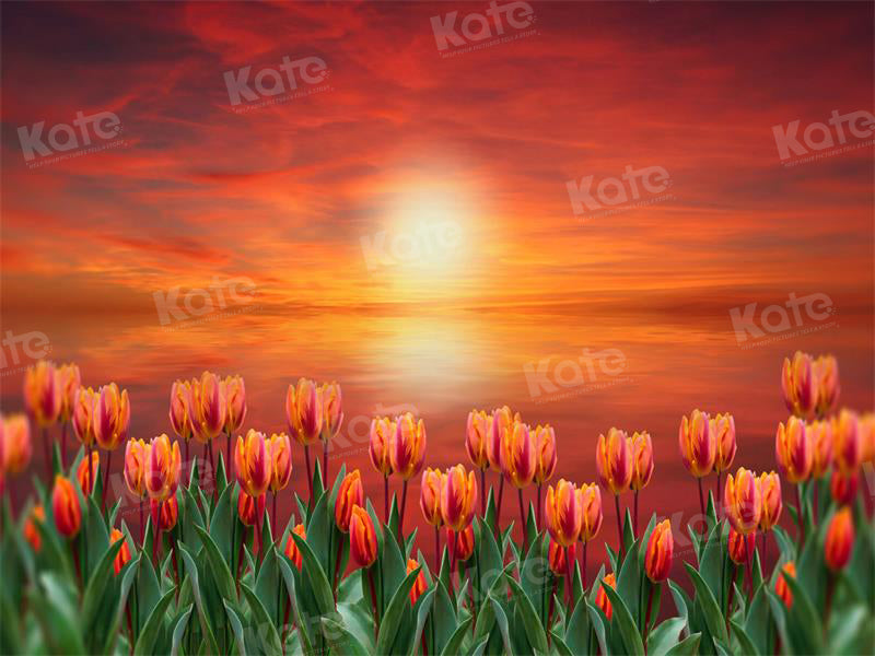 Kate Sunset Tulip Backdrop for Photography - Kate Backdrop AU