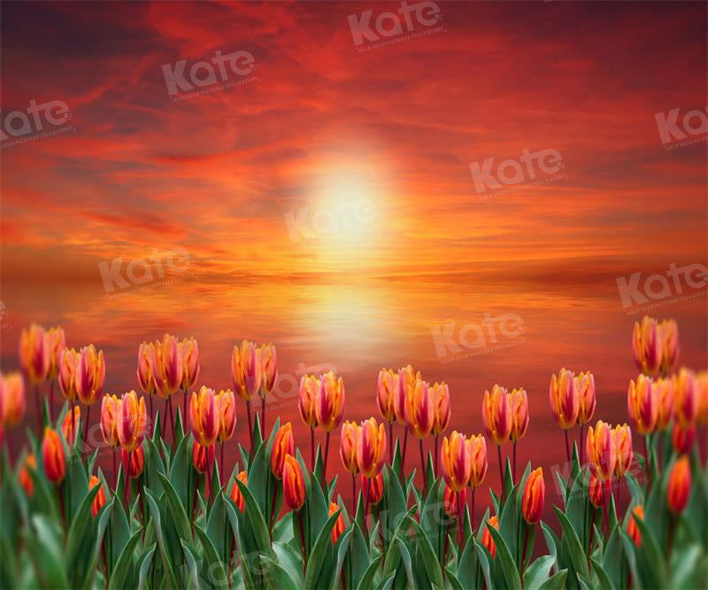Kate Sunset Tulip Backdrop for Photography - Kate Backdrop AU