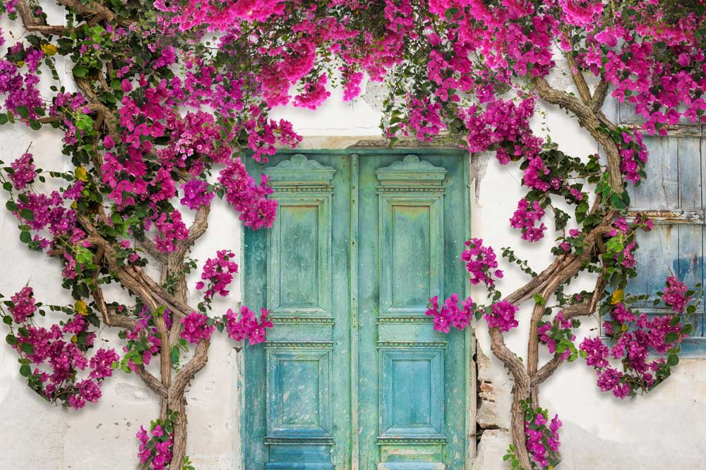 Kate Spring Flowers Door Backdrop Designed by Chain Photography - Kate Backdrop AU