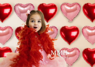 Kate Valentine's Day Backdrop Heart Designed by Melissa McCraw-Hummer - Kate Backdrop AU