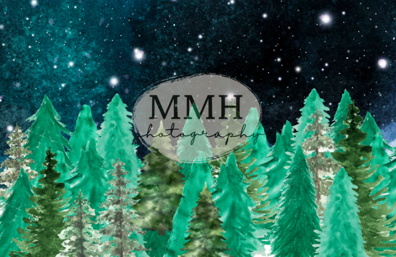 Kate Nighttime Tree Backdrop Line Camping Outdoors Designed by Melissa McCraw-Hummer - Kate Backdrop AU