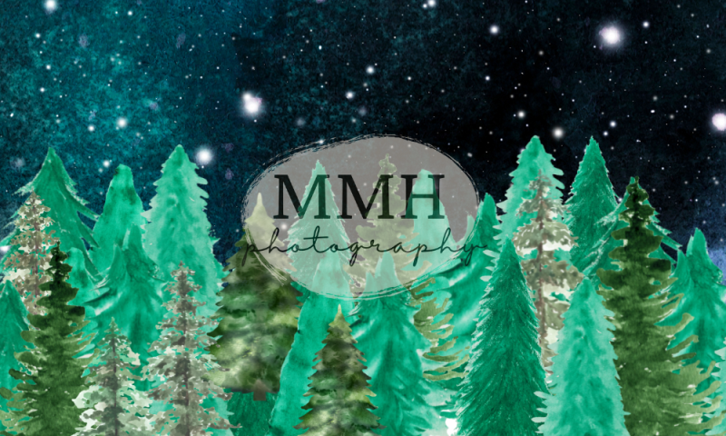 Kate Nighttime Tree Backdrop Line Camping Outdoors Designed by Melissa McCraw-Hummer - Kate Backdrop AU