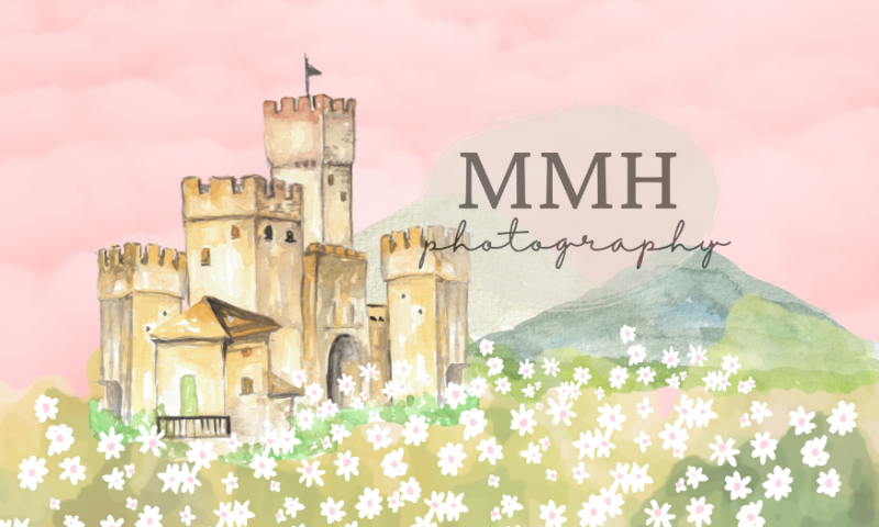 Kate Pink Princess Castle Backdrop Flower Designed by Melissa McCraw-Hummer - Kate Backdrop AU