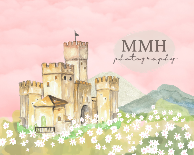 Kate Pink Princess Castle Backdrop Flower Designed by Melissa McCraw-Hummer - Kate Backdrop AU