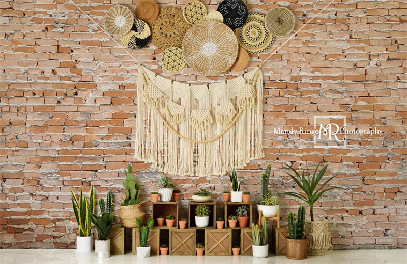 Kate Boho Southwest Cactus Wall Backdrop Designed by Mandy Ringe Photography - Kate Backdrop AU