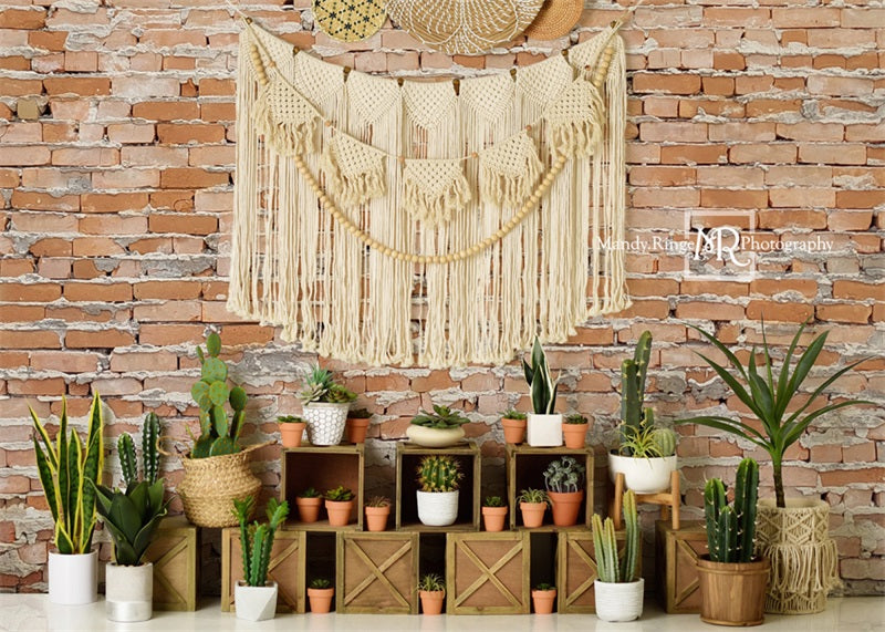 Kate Boho Southwest Cactus Wall Backdrop Designed by Mandy Ringe Photography - Kate Backdrop AU