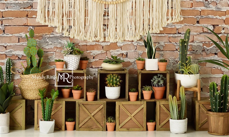 Kate Boho Southwest Cactus Wall Backdrop Designed by Mandy Ringe Photography - Kate Backdrop AU
