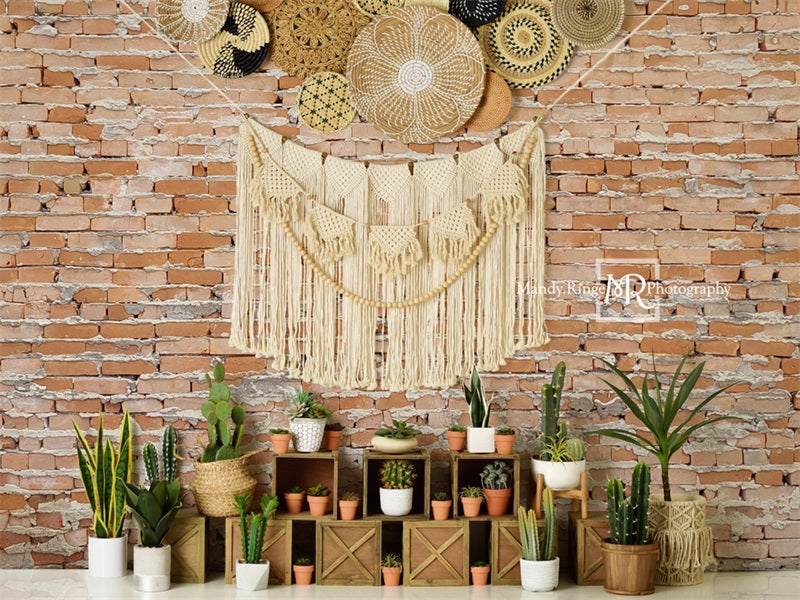 Kate Boho Southwest Cactus Wall Backdrop Designed by Mandy Ringe Photography - Kate Backdrop AU