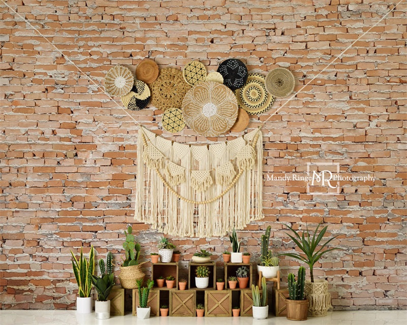 Kate Boho Southwest Cactus Wall Backdrop Designed by Mandy Ringe Photography - Kate Backdrop AU