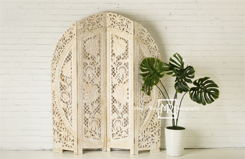 Kate Simple Boho Backdrop Screen and Plant Designed by Mandy Ringe Photography - Kate Backdrop AU