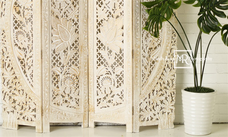 Kate Simple Boho Backdrop Screen and Plant Designed by Mandy Ringe Photography - Kate Backdrop AU