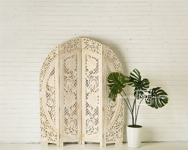 Kate Simple Boho Backdrop Screen and Plant Designed by Mandy Ringe Photography - Kate Backdrop AU