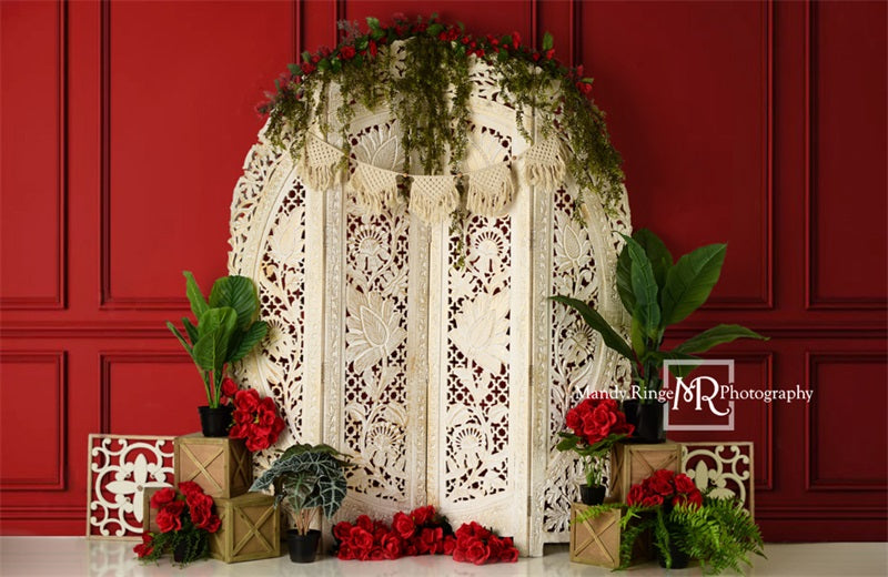 Kate Valentine's Screen with Red Wall Backdrop Designed by Mandy Ringe Photography - Kate Backdrop AU