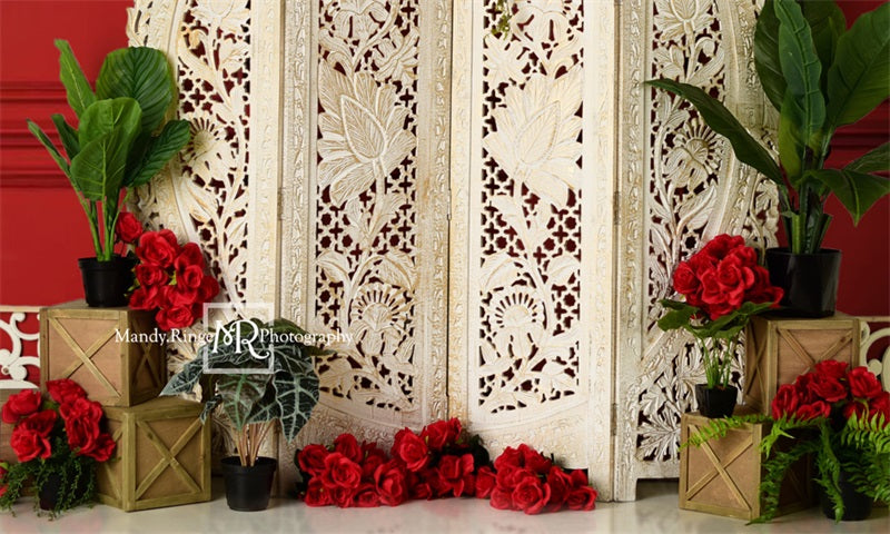 Kate Valentine's Screen with Red Wall Backdrop Designed by Mandy Ringe Photography - Kate Backdrop AU