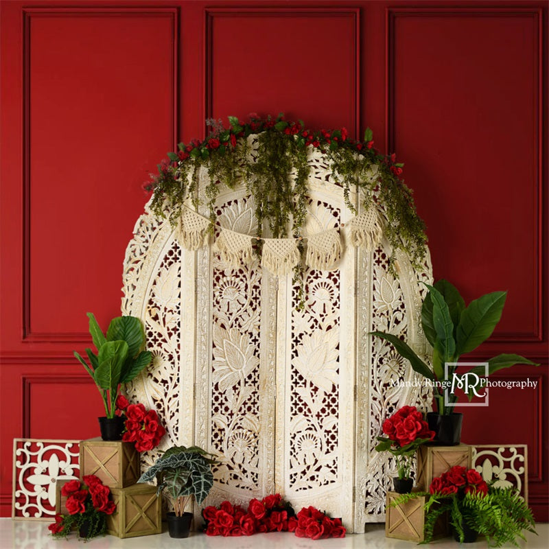 Kate Valentine's Screen with Red Wall Backdrop Designed by Mandy Ringe Photography - Kate Backdrop AU